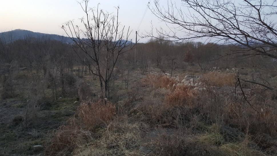 이상한 나라의 낚시꾼 (월척지식 - 대물낚시)
