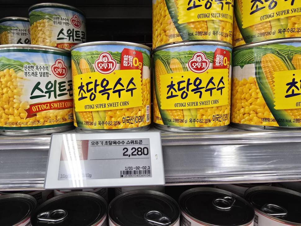 대물낚시 옥수수 어떤거 사용하세요 (월척지식 - 대물낚시)