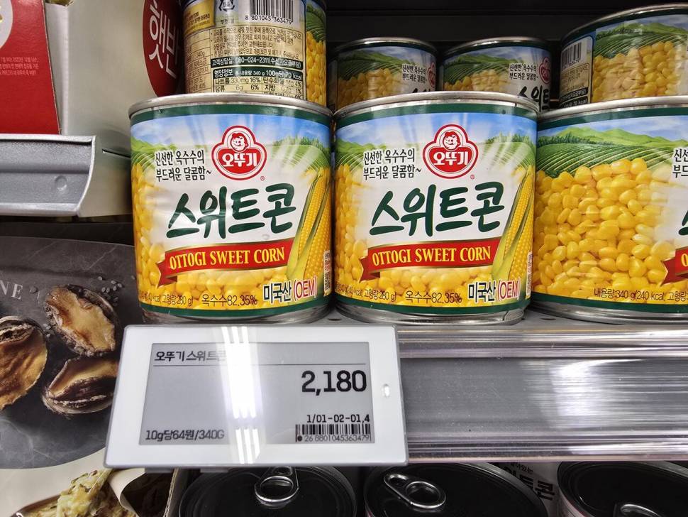 대물낚시 옥수수 어떤거 사용하세요 (월척지식 - 대물낚시)
