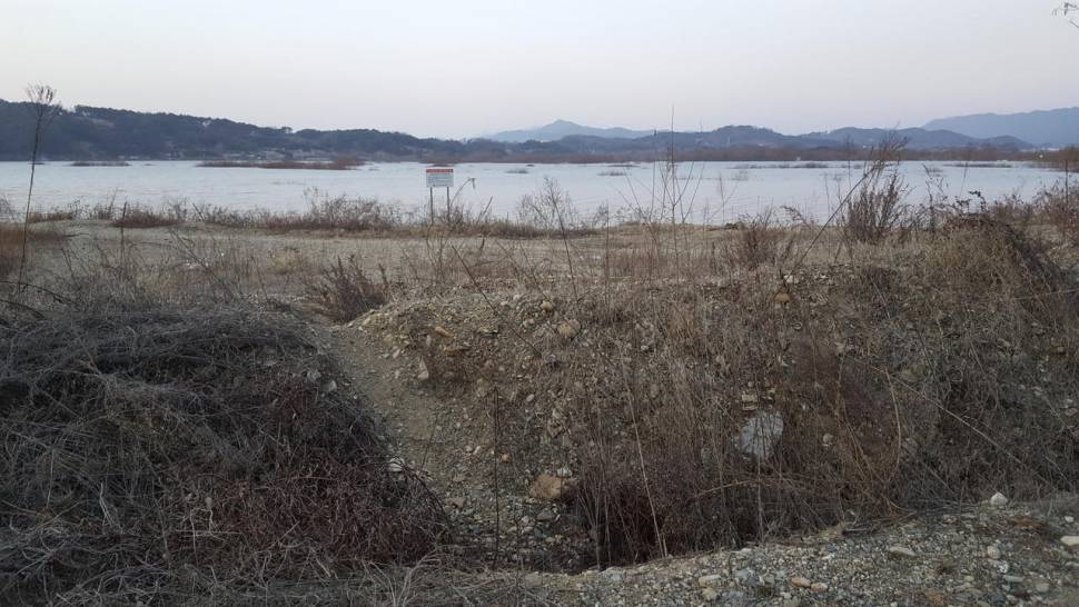 이상한 나라의 낚시꾼 (월척지식 - 대물낚시)