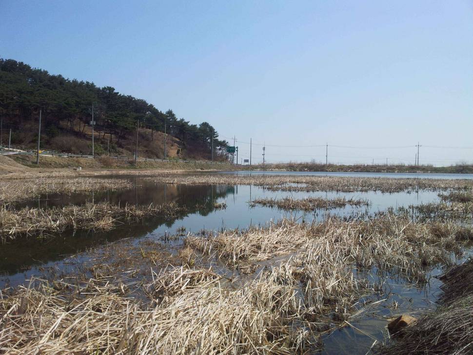 포인트에 대한 질문 (월척지식 - 대물낚시)