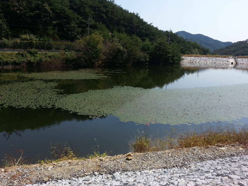 이곳은 어떤채비가 어울릴가요 (월척지식 - 대물낚시)