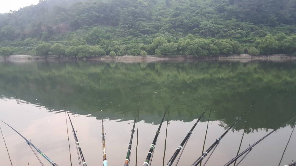 잡어퇴치법 가르처주세요 (월척지식 - 대물낚시)