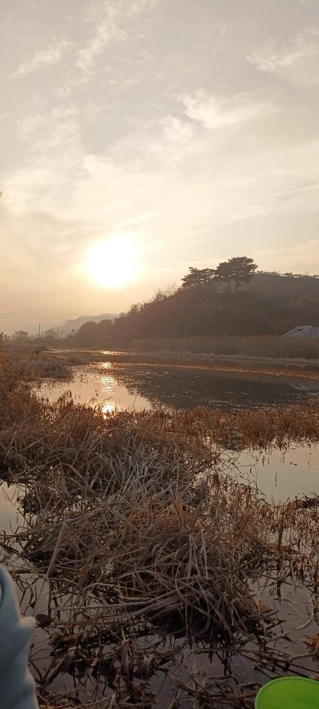 공주에서짬낚시 (조황조행기 - 모바일간편조행)