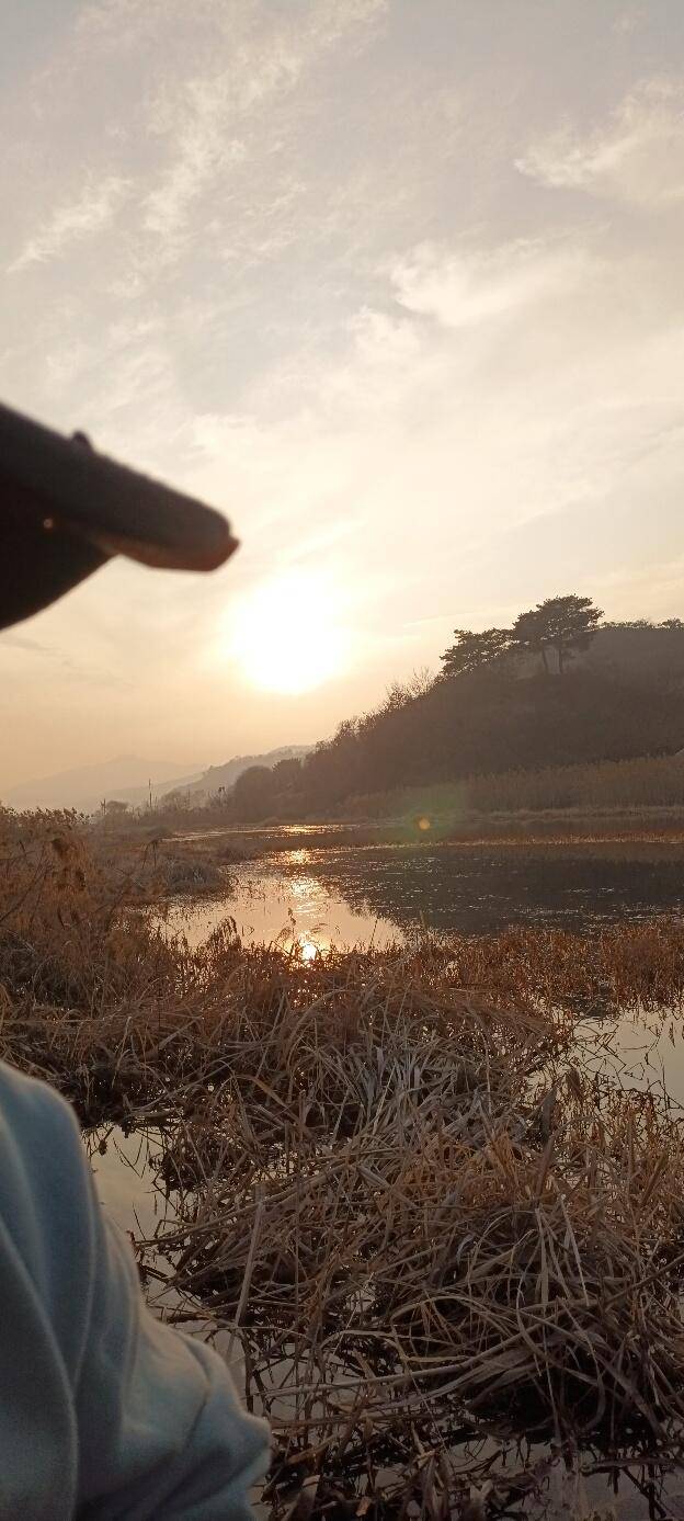 공주에서짬낚시 (조황조행기 - 모바일간편조행)