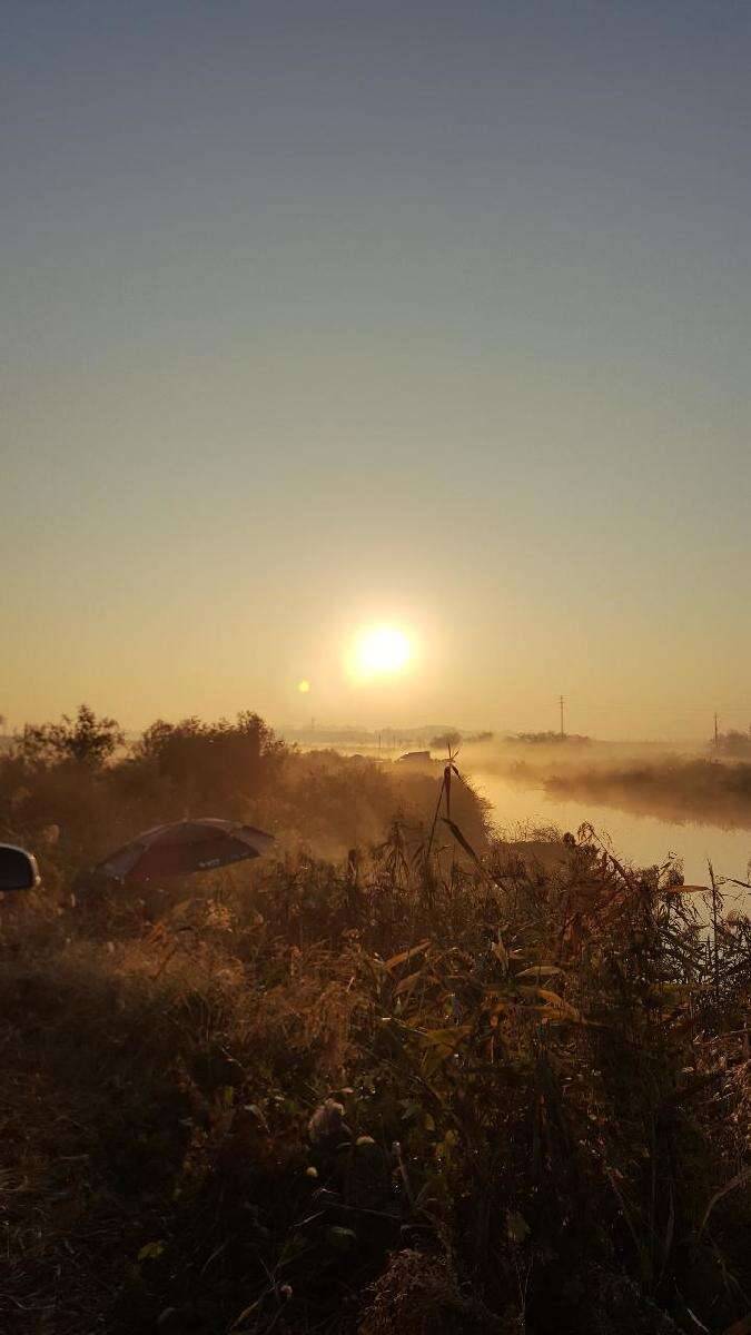 검단수로·검단소류지 (조황조행기 - 모바일간편조행)
