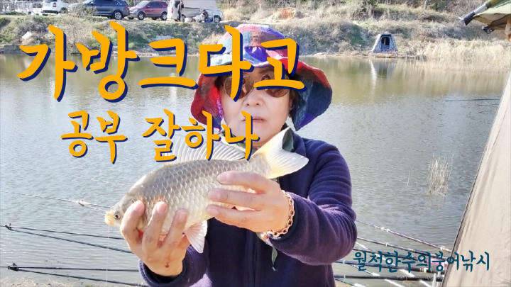 서포면 두루언지 (조황조행기 - 모바일간편조행)