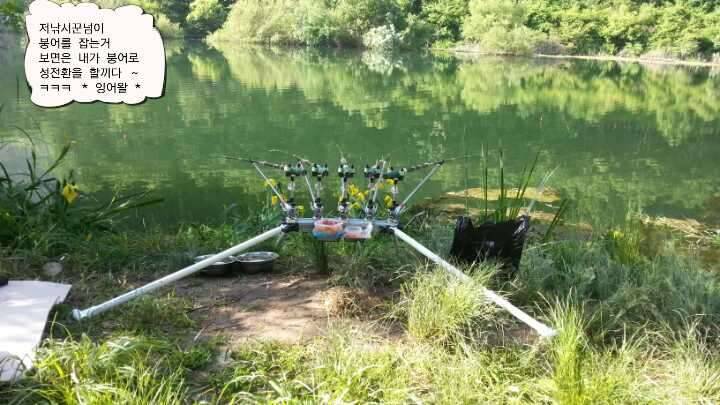 장태산에서 (조황조행기 - 모바일간편조행)