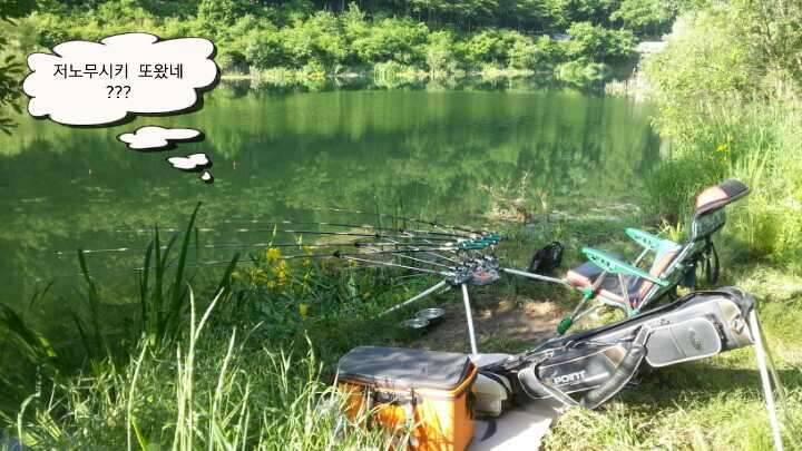 장태산에서 (조황조행기 - 모바일간편조행)