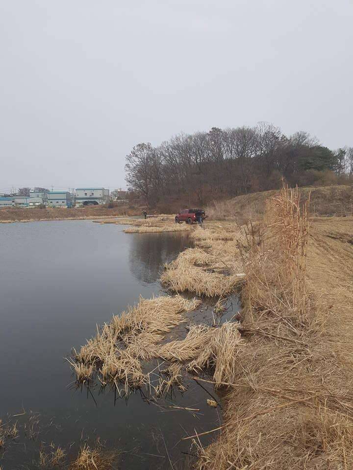 양택지 (조황조행기 - 모바일간편조행)