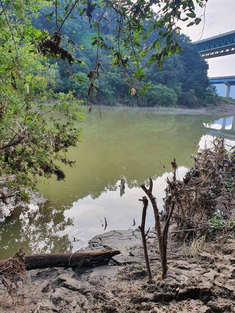충주 두무소 현 상황 (조황조행기 - 모바일간편조행)