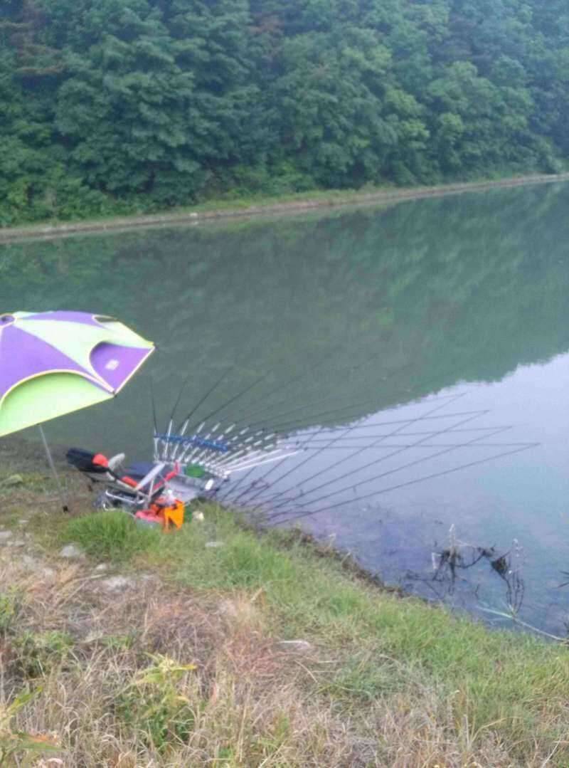 조황조행기 > 모바일간편조행 > 당진 밤낚시 꽝