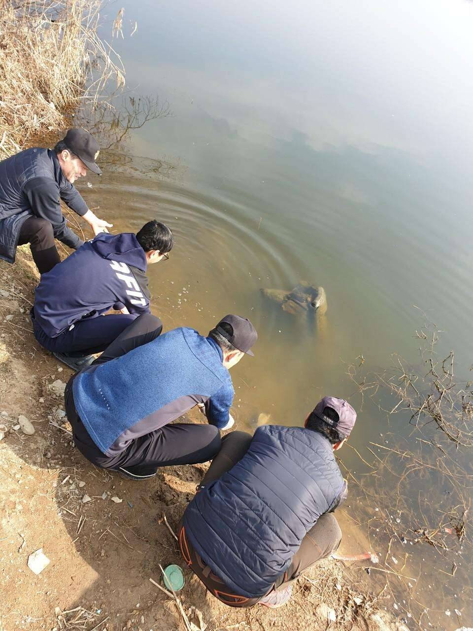 2020년 경자년 첫출조 도깨비보트 (조황조행기 - 모바일간편조행)