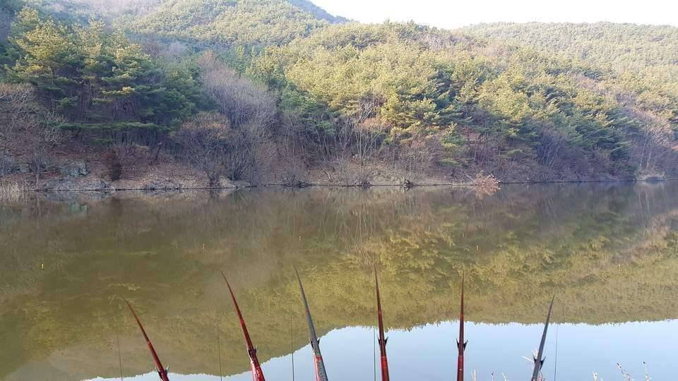 오늘은 청도권 (조황조행기 - 모바일간편조행)