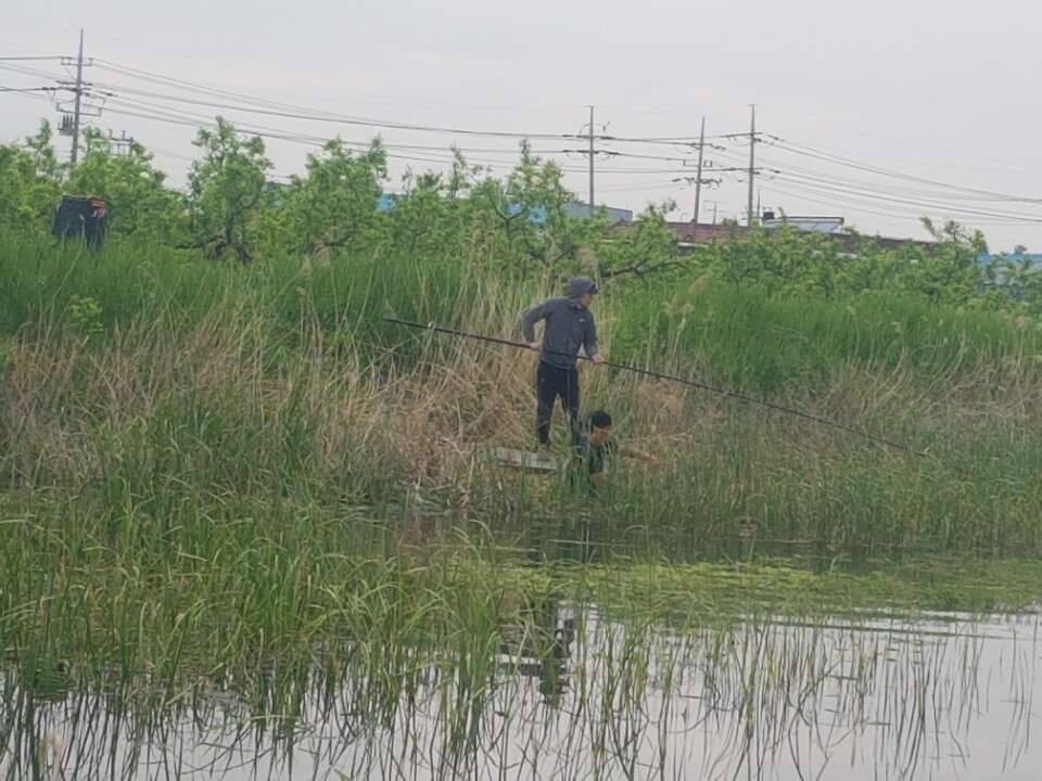 경산 (조황조행기 - 모바일간편조행)