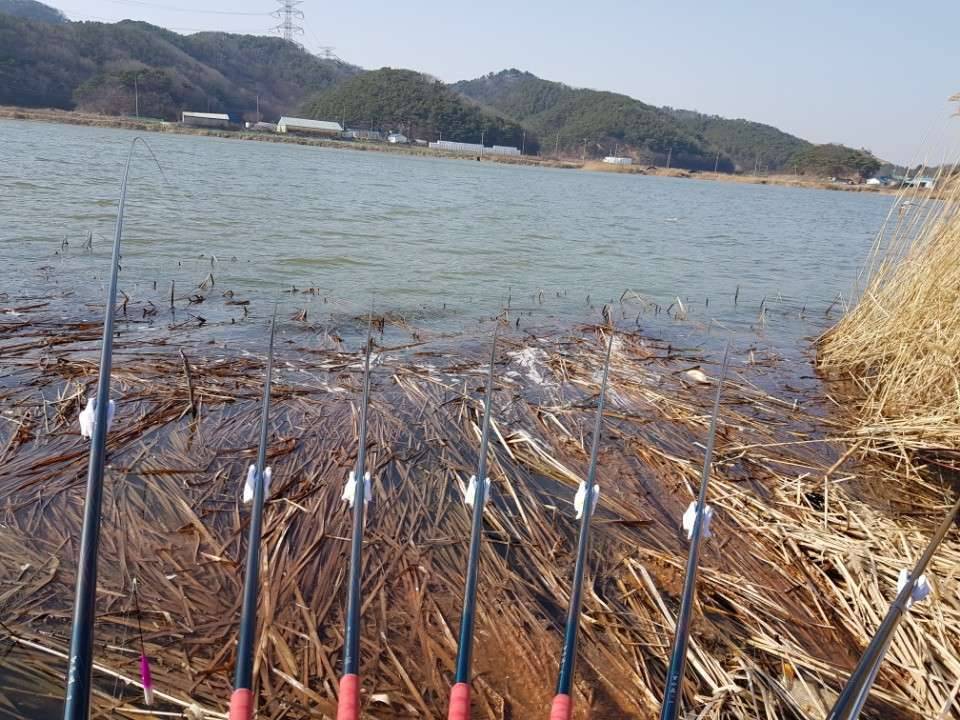 2018년 첫낚시 해창지 (조황조행기 - 모바일간편조행)