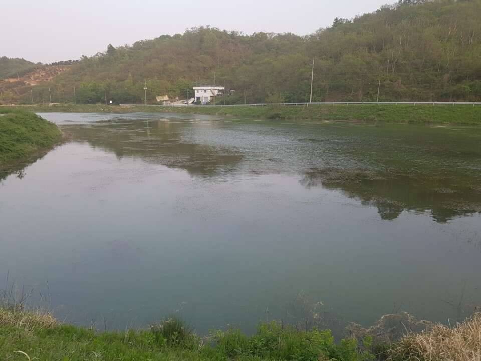 진주로 2박 궈궈 (조황조행기 - 모바일간편조행)
