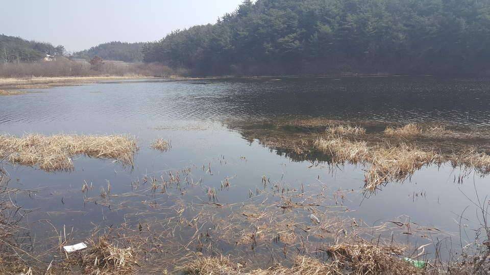 여긴않되겠어요 (조황조행기 - 모바일간편조행)