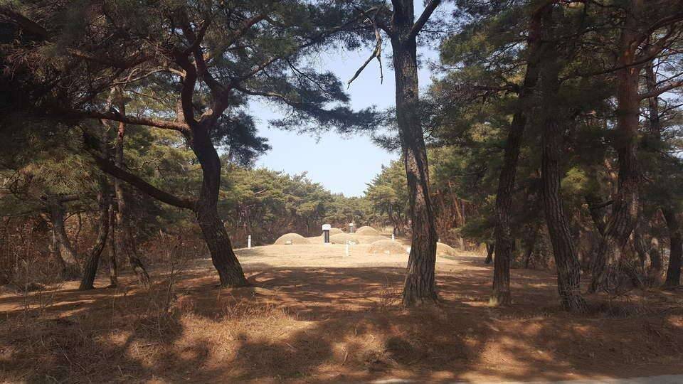 여긴않되겠어요 (조황조행기 - 모바일간편조행)