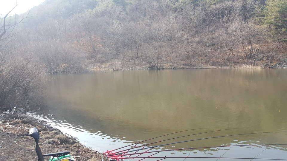 오늘은 청도권 (조황조행기 - 모바일간편조행)