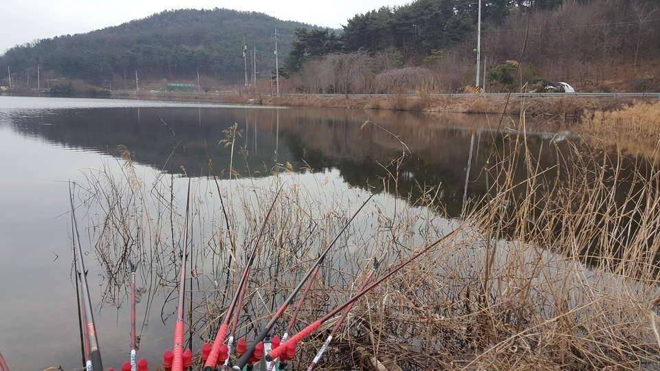 물이 다빠졌어요 (조황조행기 - 모바일간편조행)