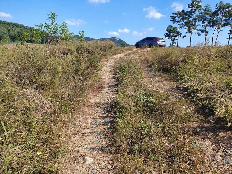 낙동강을 가다 (조황조행기 - 모바일간편조행)