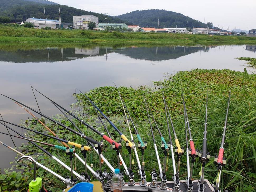 밤짬낚시 (조황조행기 - 모바일간편조행)