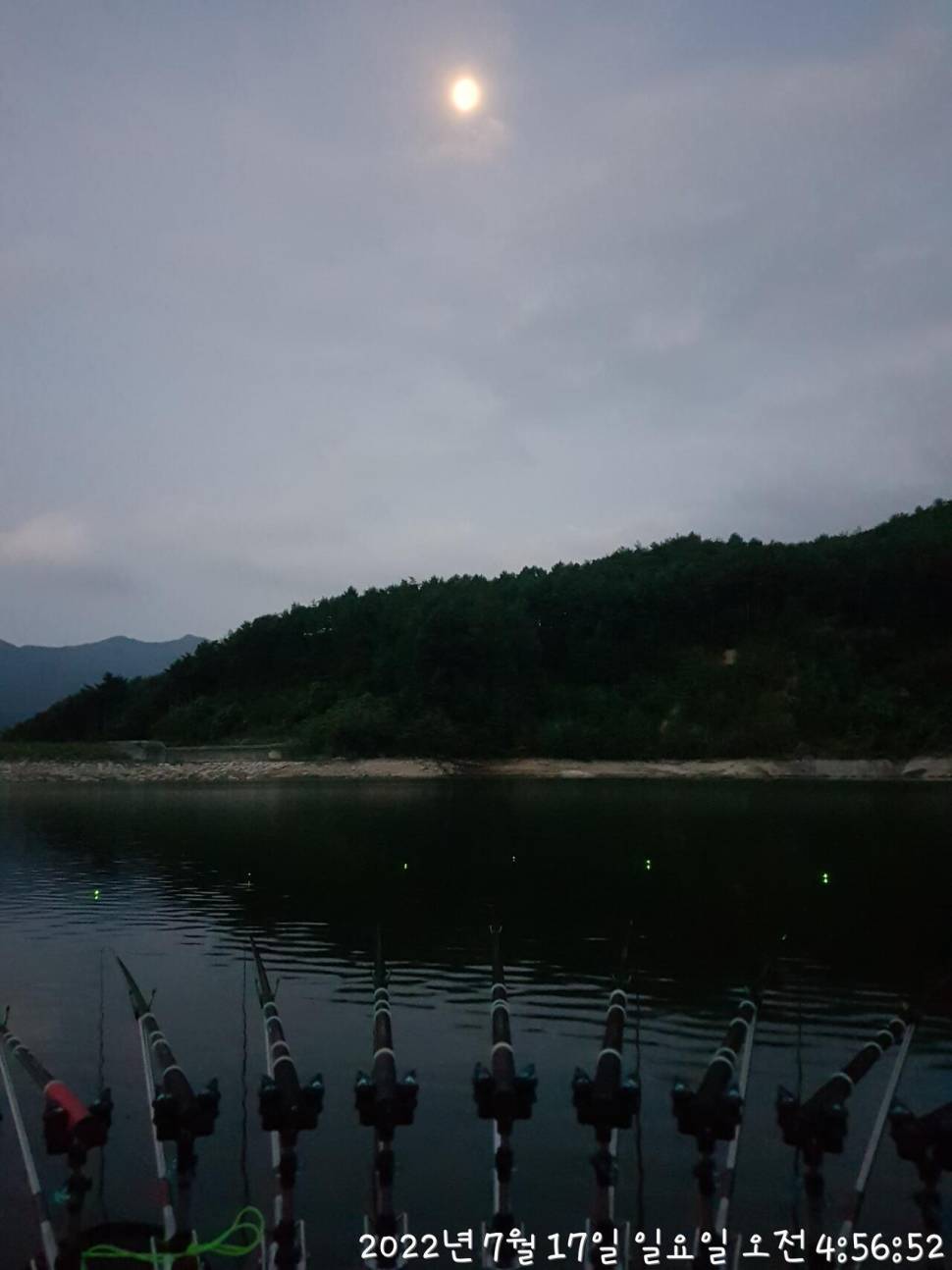 간만에 계곡지로 출조다녀왔네요 (조황조행기 - 모바일간편조행)