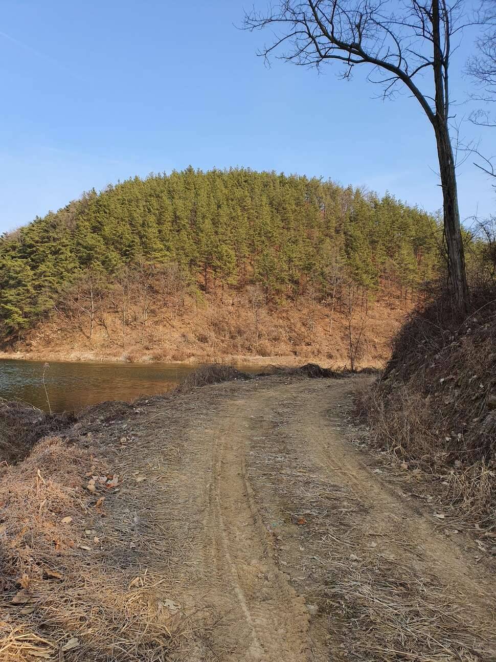 어김없이 오늘도 렛잇고 (조황조행기 - 모바일간편조행)