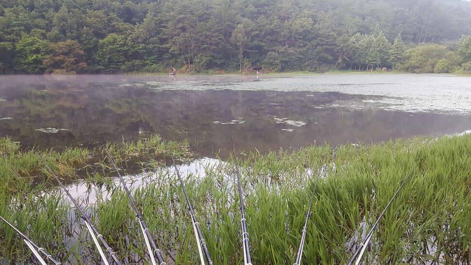 경산 용성 능적지 (조황조행기 - 모바일간편조행)