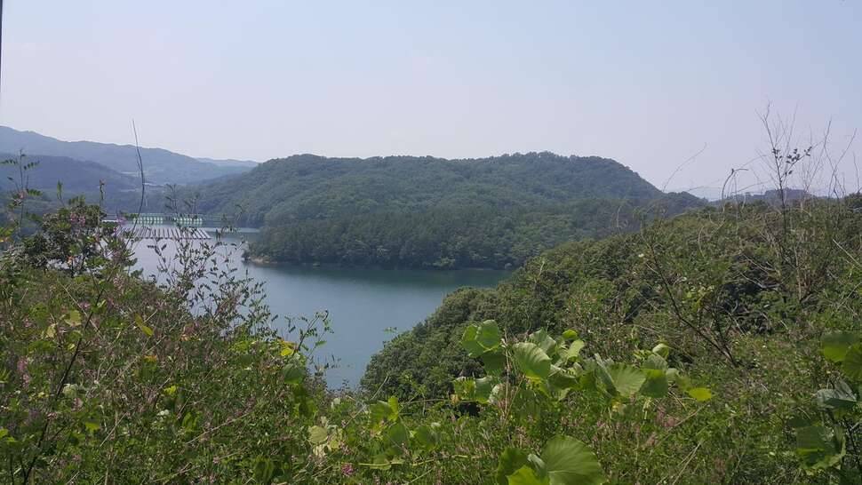 충북 진천 초평지의 어느좌대 (조황조행기 - 모바일간편조행)