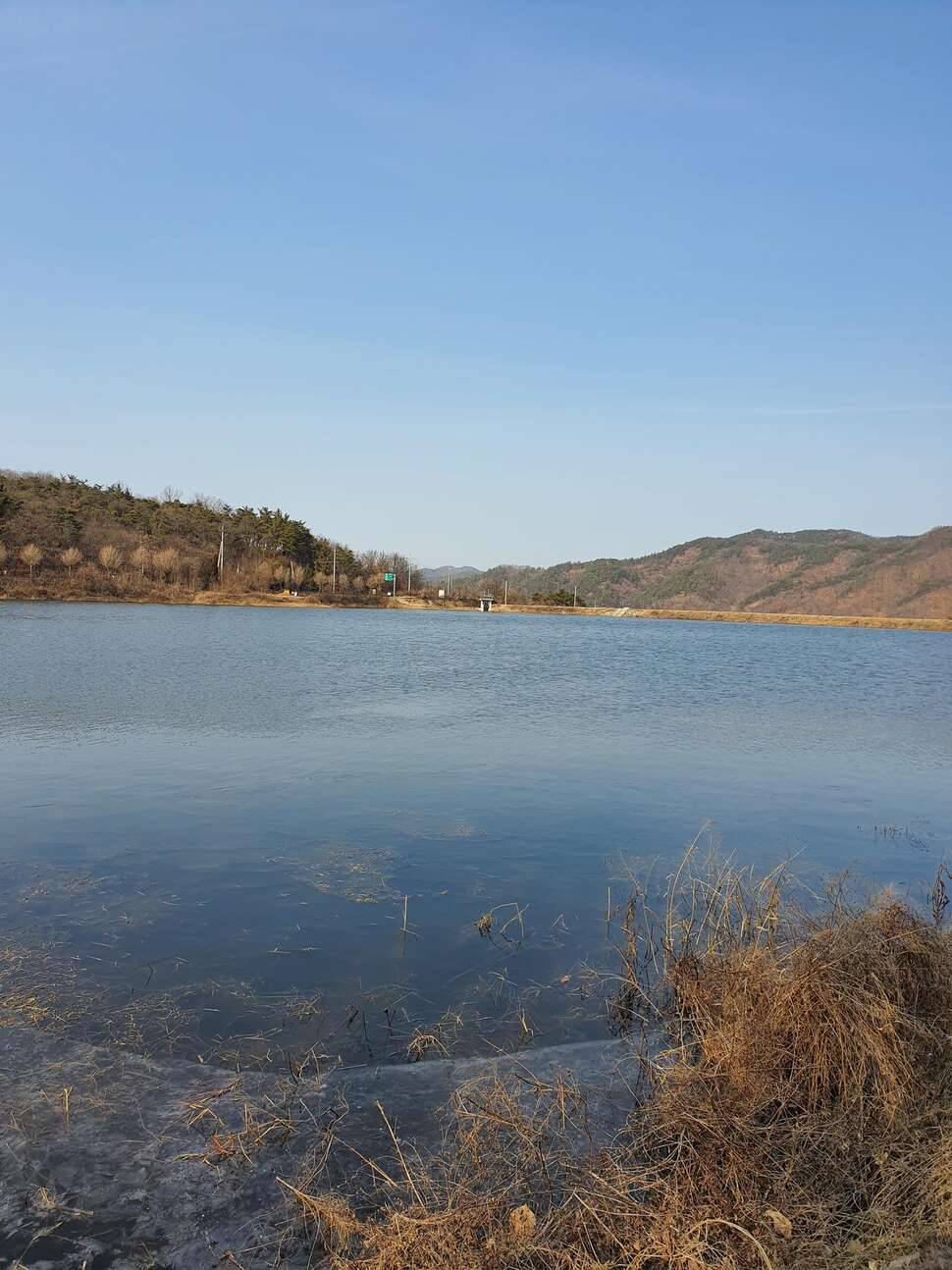 어김없이 오늘도 렛잇고 (조황조행기 - 모바일간편조행)