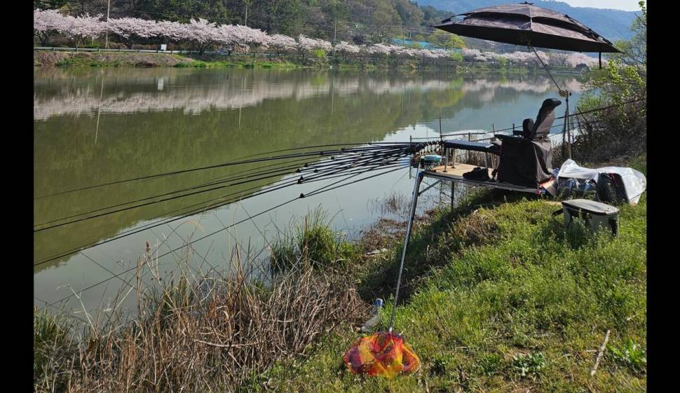 엄청 빡센 한방터 (조황조행기 - 모바일간편조행)