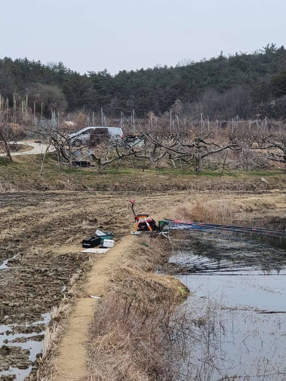 이늠의 코로나 진짜 (조황조행기 - 모바일간편조행)