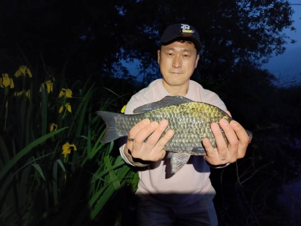 부여 옥산지에서 하루밤 (조황조행기 - 모바일간편조행)