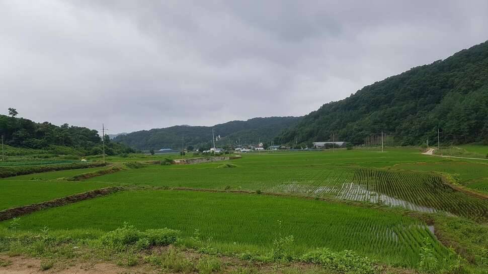 좀 알려진 소류지에서 (조황조행기 - 모바일간편조행)
