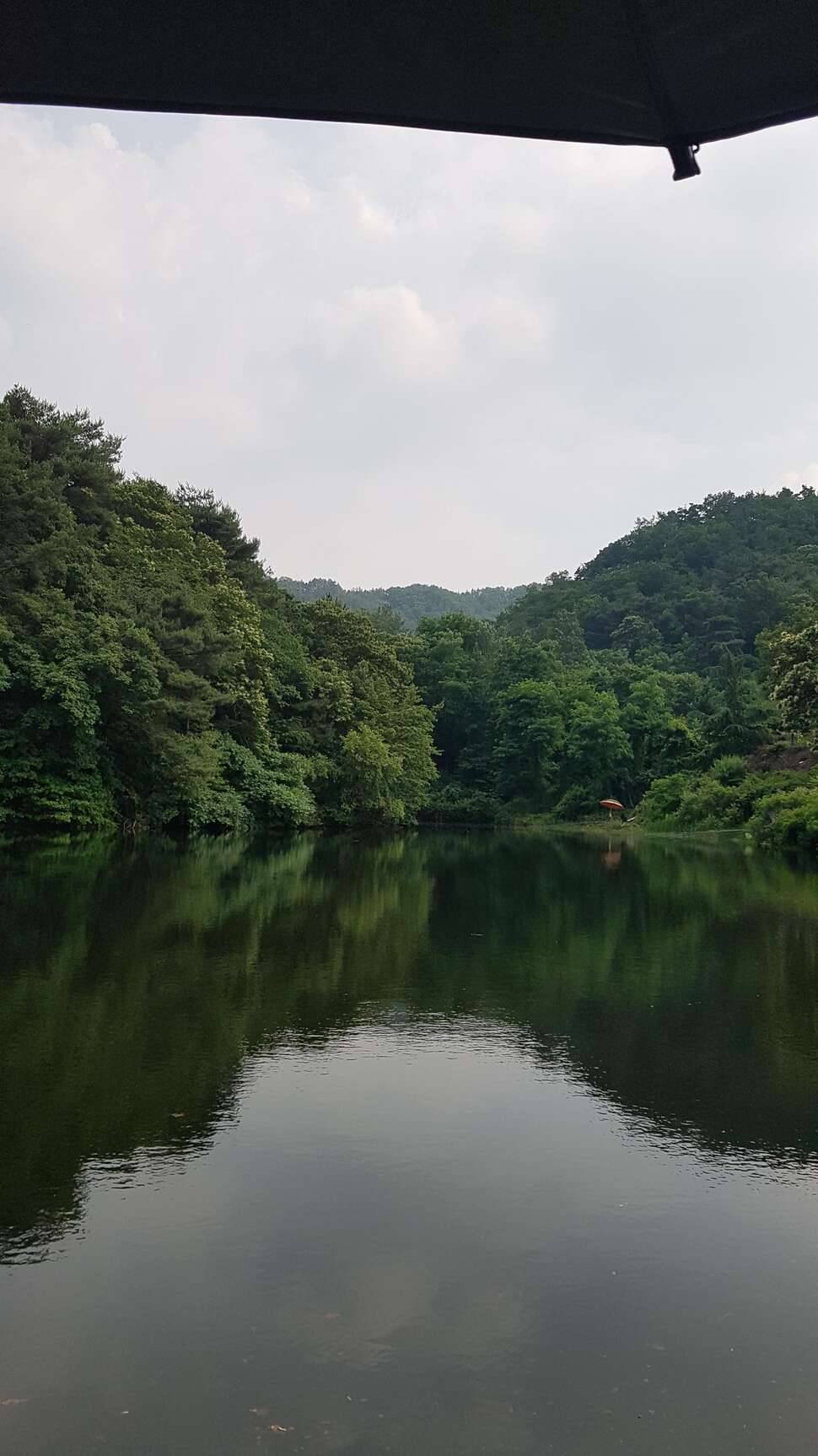 손맛을 그리워하며 (조황조행기 - 모바일간편조행)