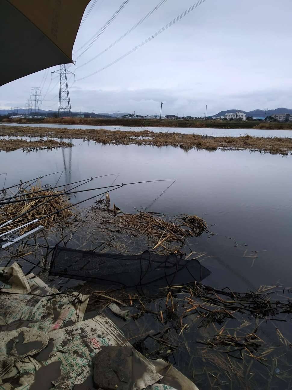 취무늪 우중출조 (조황조행기 - 모바일간편조행)