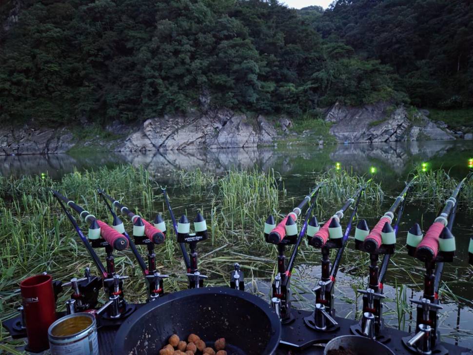 충주호가 준 선물 (조황조행기 - 모바일간편조행)