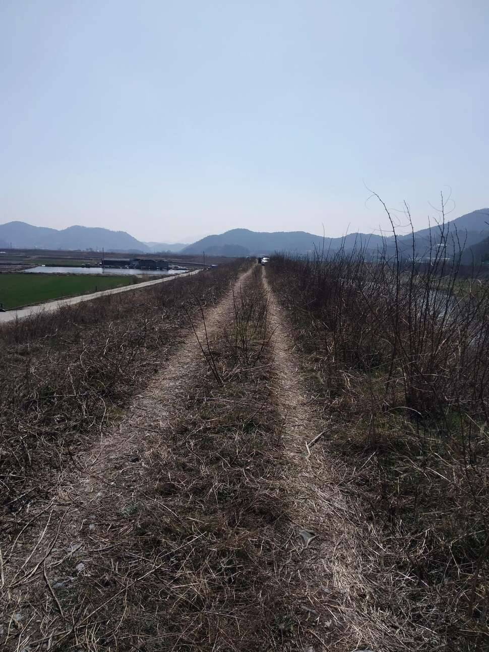함안 광려천 (조황조행기 - 모바일간편조행)