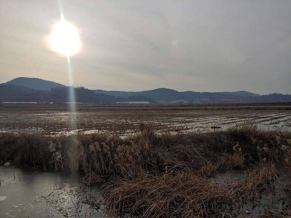 대부도 수로 (조황조행기 - 모바일간편조행)