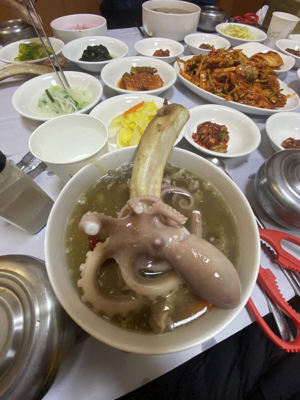 영암 인근 수로 3박 다녀왔습니다 (조황조행기 - 모바일간편조행)