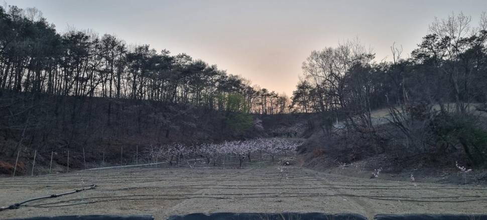 작은행복 (조황조행기 - 모바일간편조행)