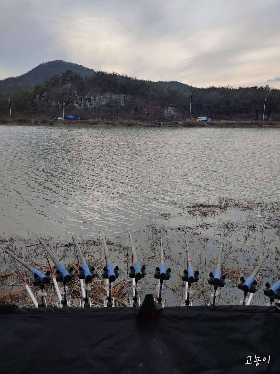 2020년 첫 물낚시 (조황조행기 - 모바일간편조행)
