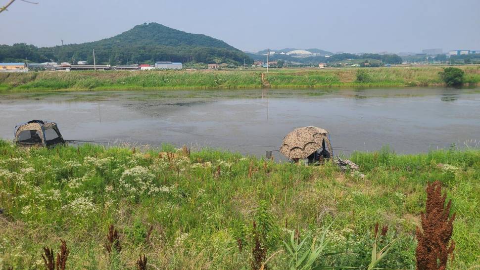 3박중 충주 보낚시 1박 (조황조행기 - 모바일간편조행)