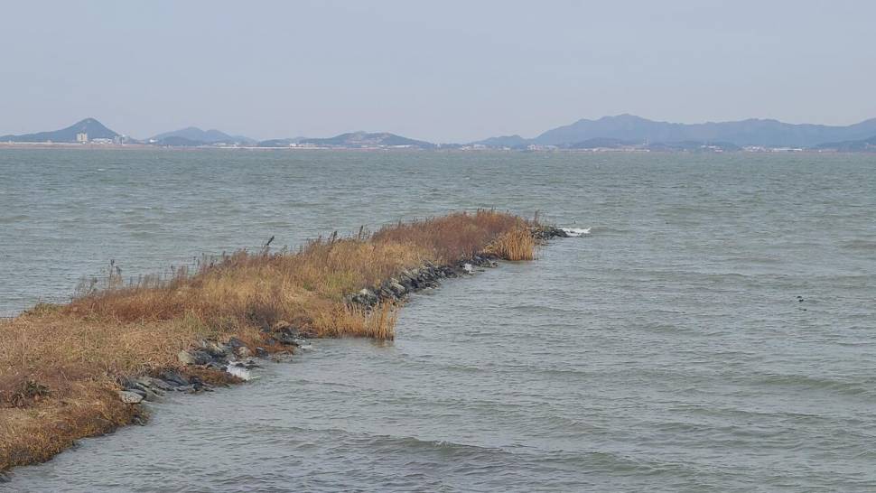 홍성호해남 수로권 (조황조행기 - 모바일간편조행)