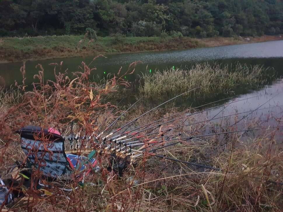 오랜만에 (조황조행기 - 모바일간편조행)