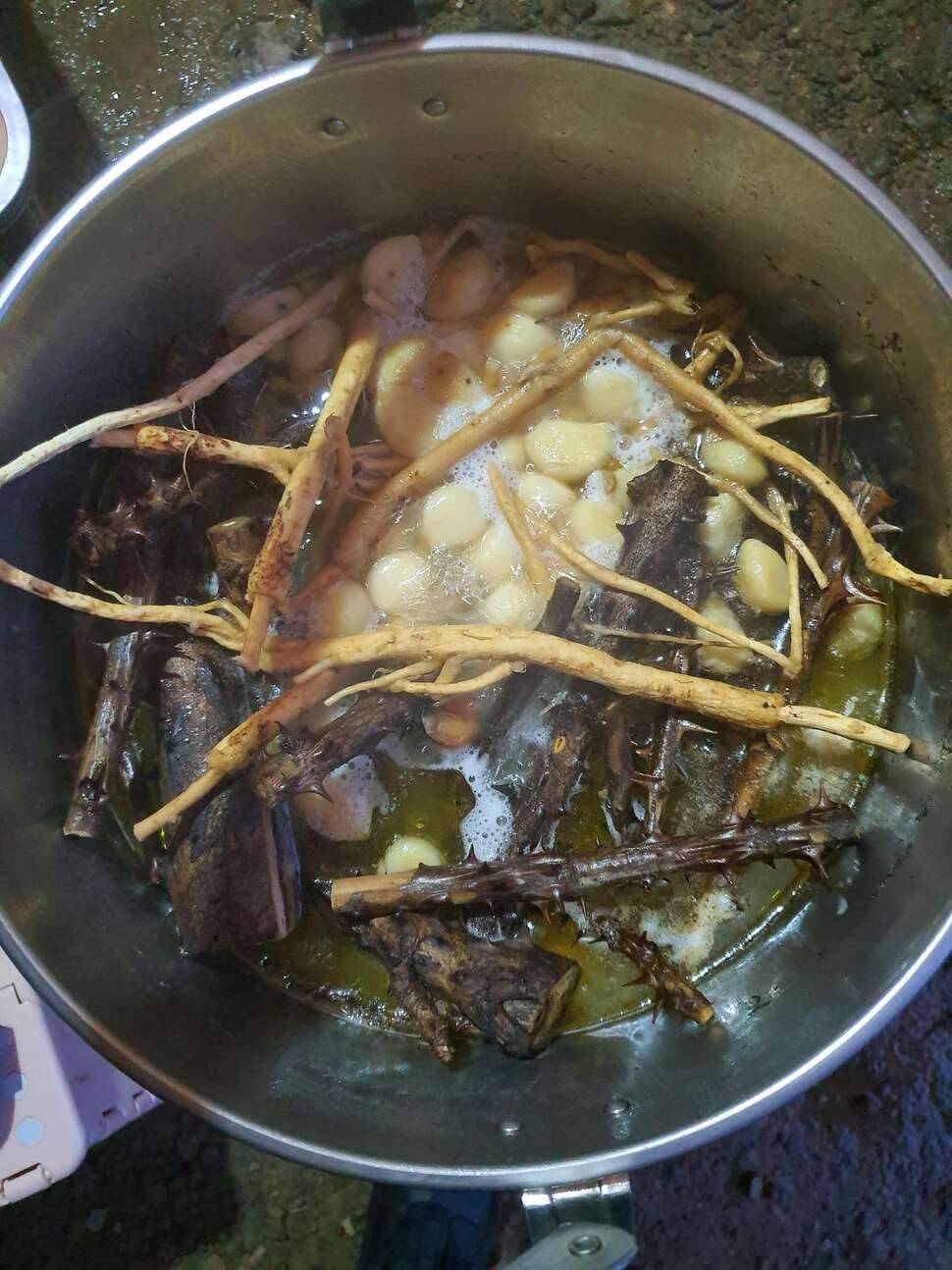우중출조 못무도 고 (조황조행기 - 모바일간편조행)
