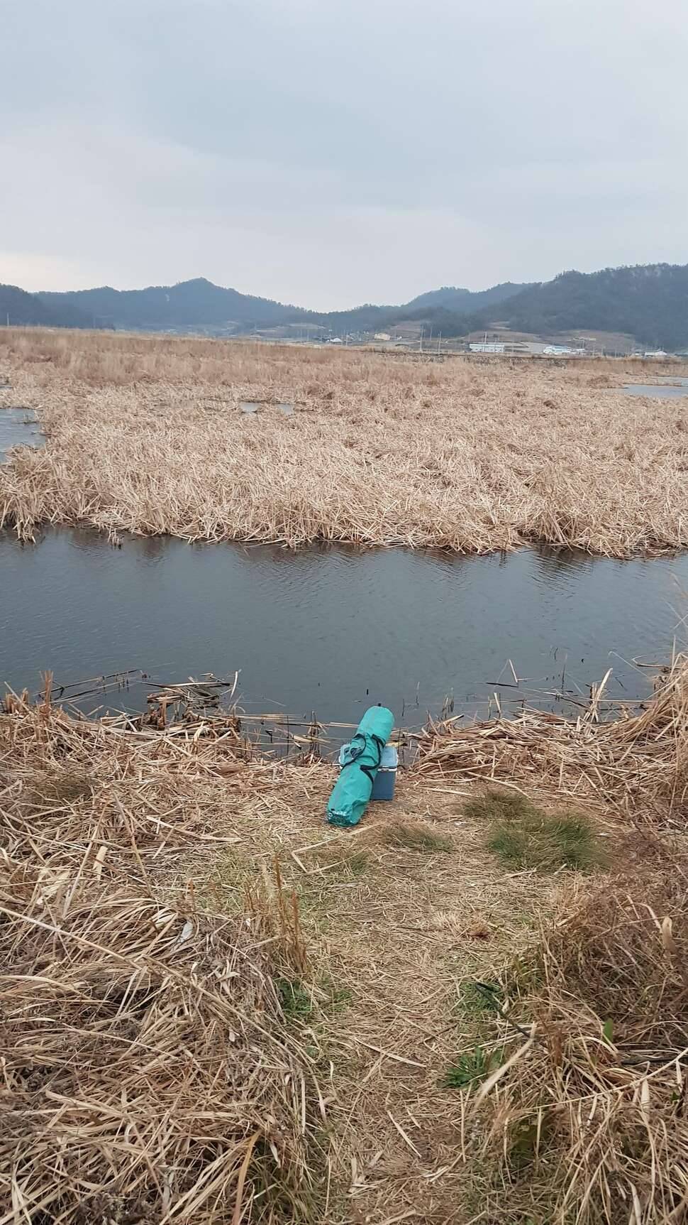2020년 첫 물낚시 (조황조행기 - 모바일간편조행)