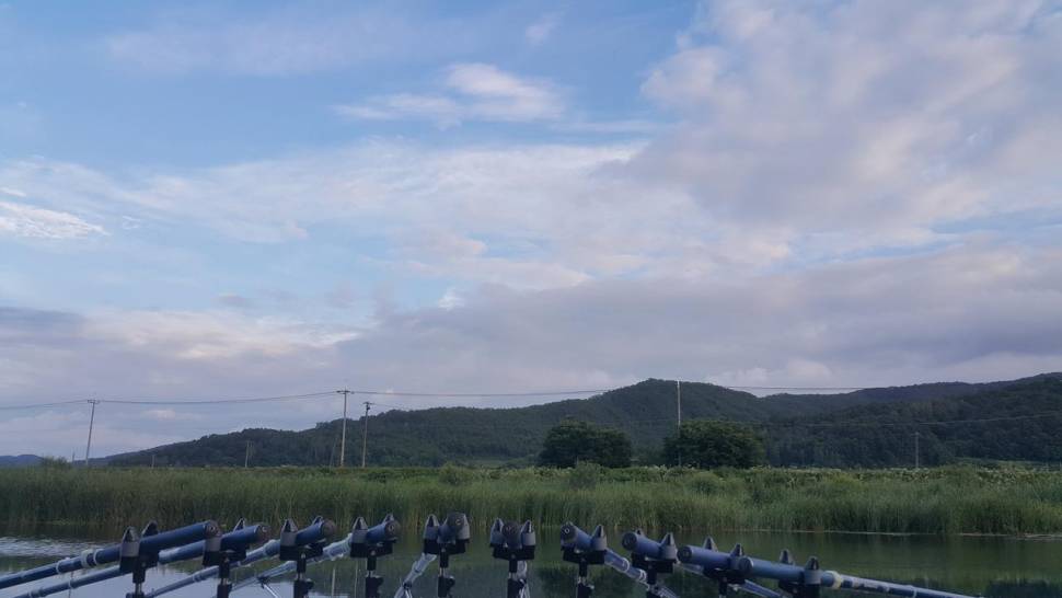4짜 잡는 그날까지 (조황조행기 - 모바일간편조행)
